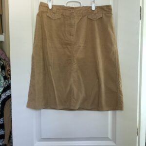 H&M Skirt