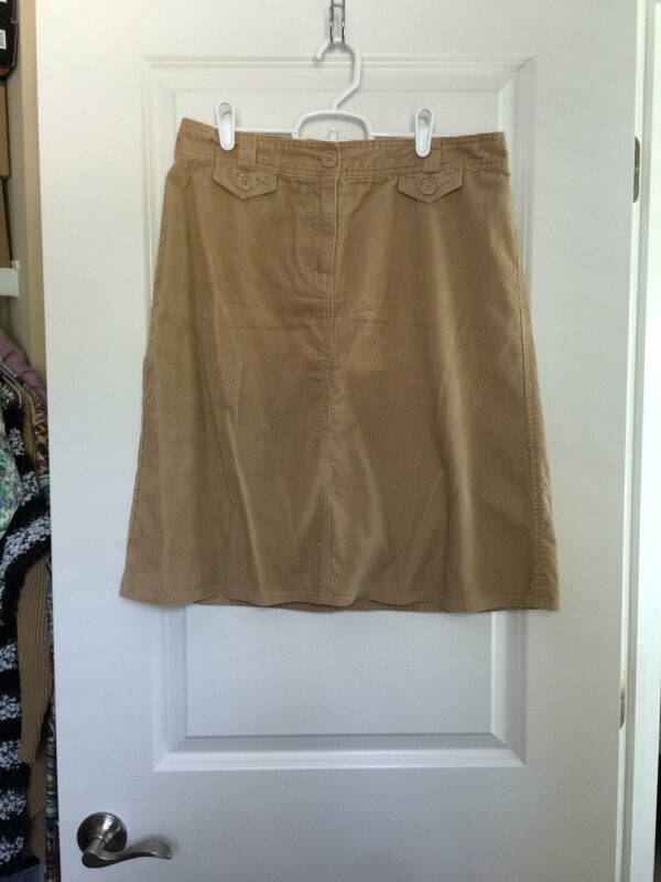 H&M Skirt