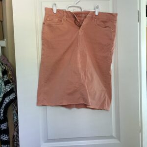 For All Mankind Skirt