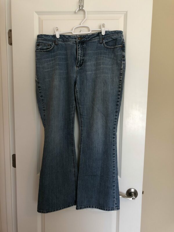 Apartment nine jeans size 16